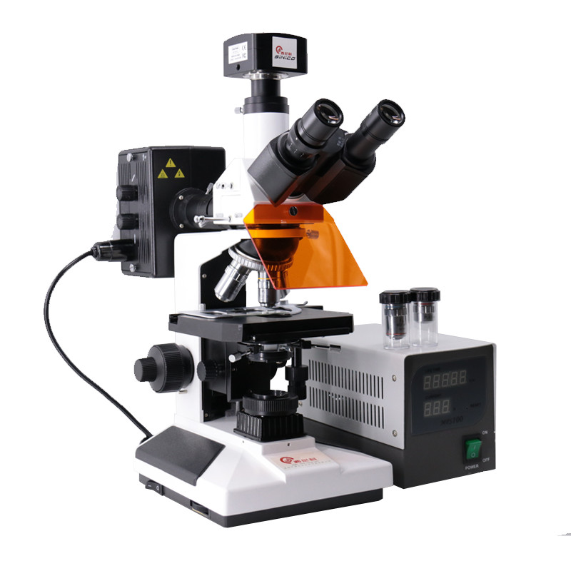 荧光显微镜XK-DL005-3.jpg