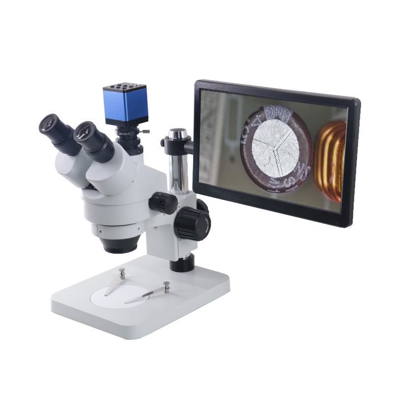 体视显微镜倍率怎么选择