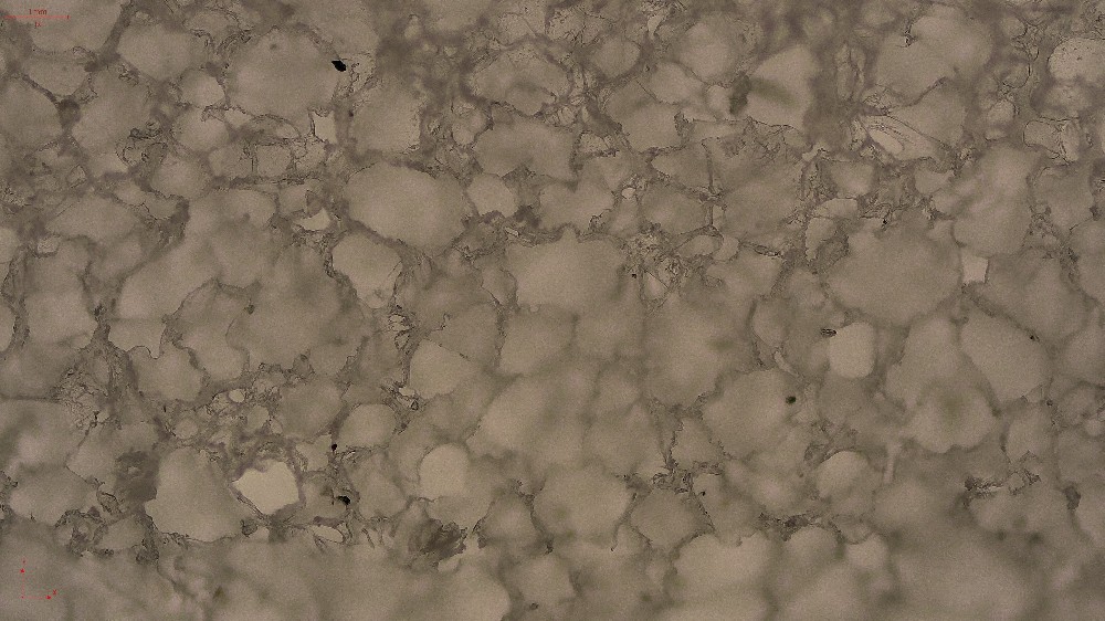 泡沫发泡样品怎么选择显微镜？